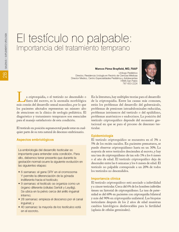 El testículo no palpable: 
