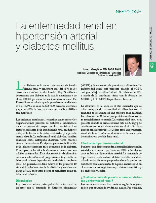 La enfermedad renal en hipertensión arterial y diabetes mellitus 