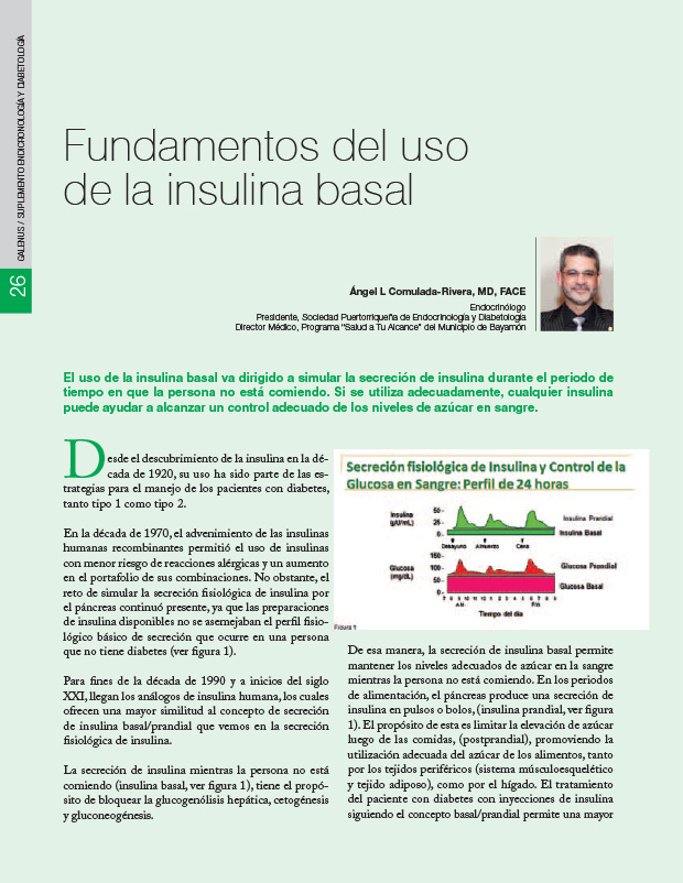 Fundamentos del uso de la insulina basal 