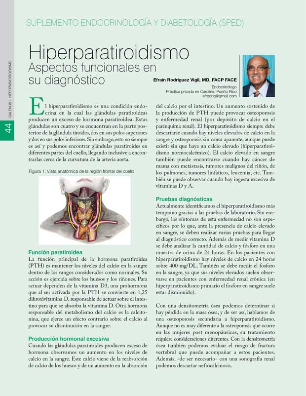Hiperparatiroidismo Aspectos funcionales en su diagnóstico 